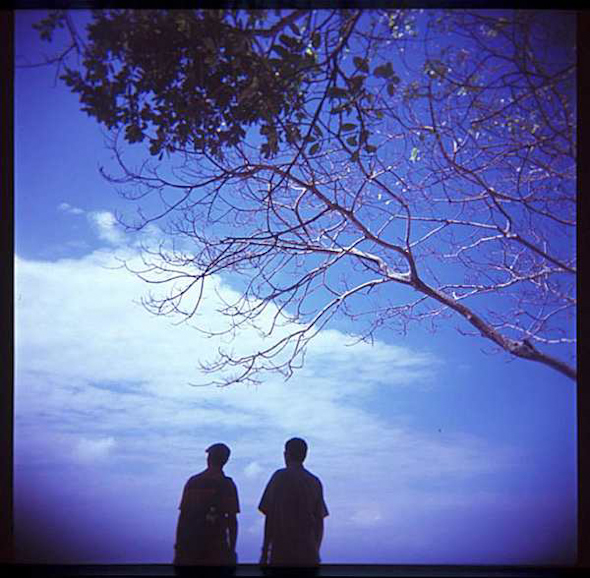 lomografi15