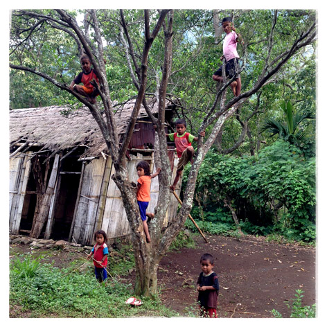 Anak-anak Kampung Roga, Kabupaten Ende, Nusa Tenggara Timur, bermain di pohon. Kampung Roga hingga kini belum mendapat aliran listrik karena lokasinya yang terpencil.