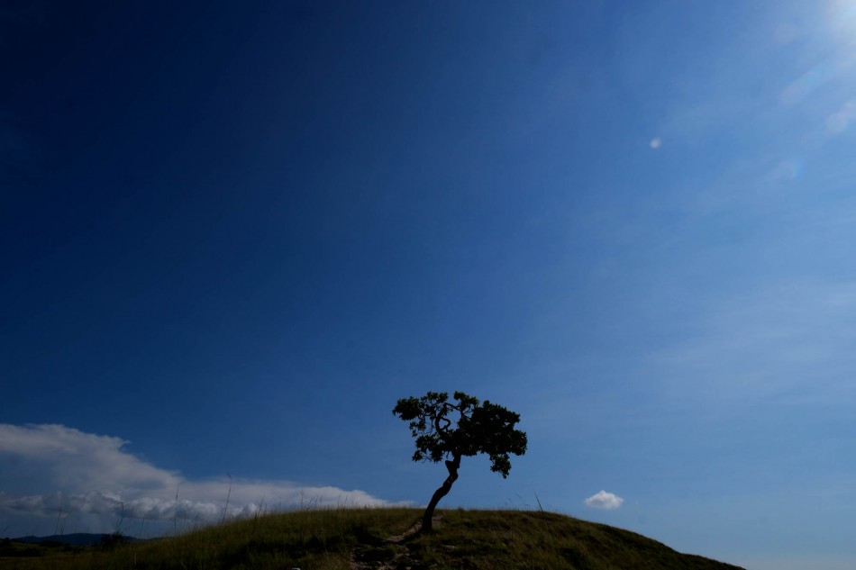 Padang savana pulau Rinca